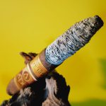 171 - Oliva Serie V Melanio Maduro