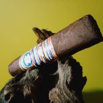 176 - Ozgener Firsat F55 by EP Carrillo - 93rated Top22 - 2023