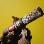 180 - EP Carrillo Essence Maduro