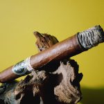 201 - E.P. Carrillo Black Swan Ecuadorian Habano