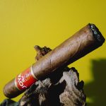 151 Joya de Nicaragua JOYA Red 1