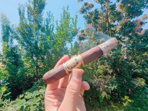 261 - Drew Estate Undercrown 10 A Decade of Dedication Toro