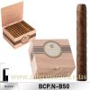 BCP Senoritas Natural 4x31 (Hộp 50)