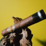 207 - La Aurora Broaflead 90rated