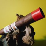 211 - Aging Room Bin No. 2 Nicaragua