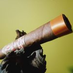 231 - My Father El Centurion H2KCT