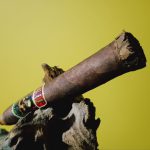 232 - Island Jim #2 San Andres by Oscar Valladares shaggy foot