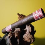 241 - Romeo y Julieta House of Montague Maduro Broadleaf