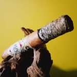 244 - CAO Gold Ecuador Connecticut